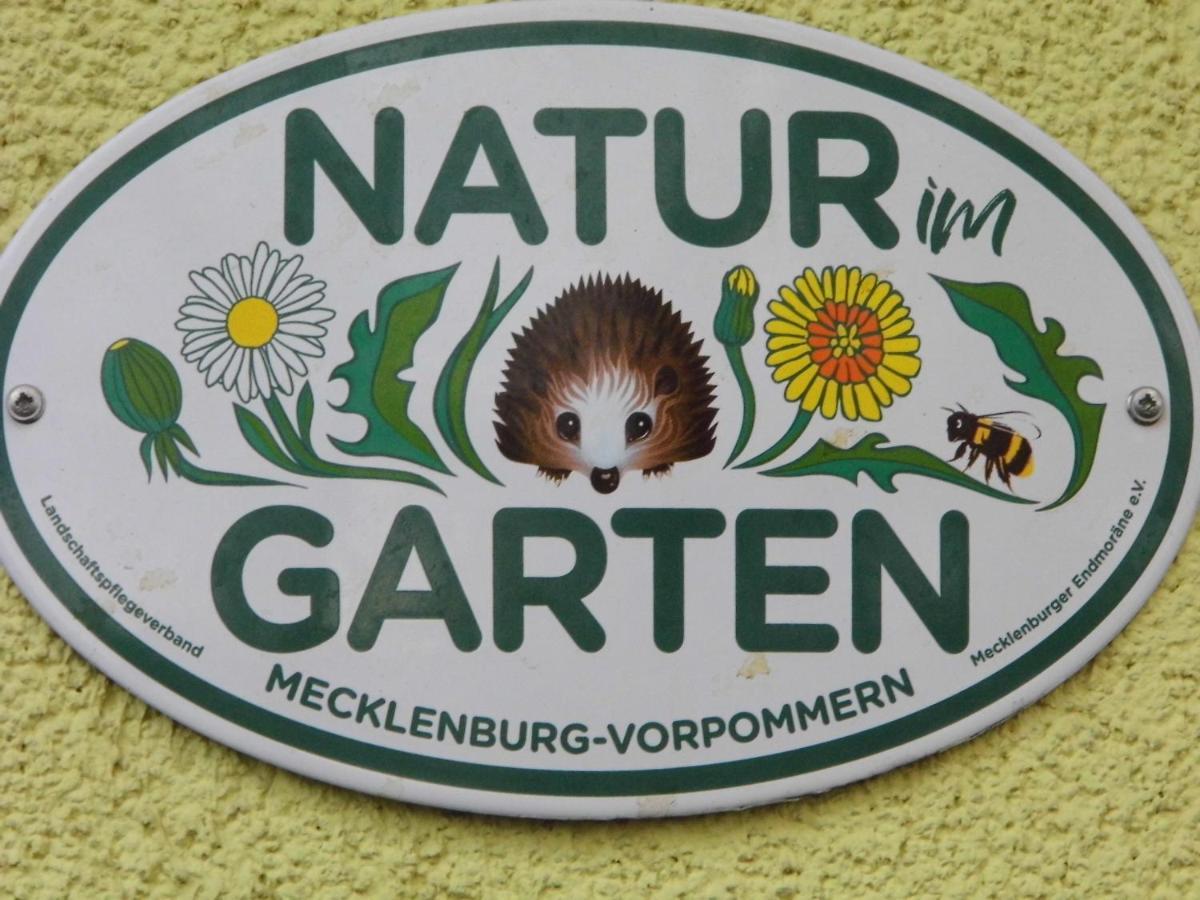Ferienwohnung Seerose Neppermin Zewnętrze zdjęcie