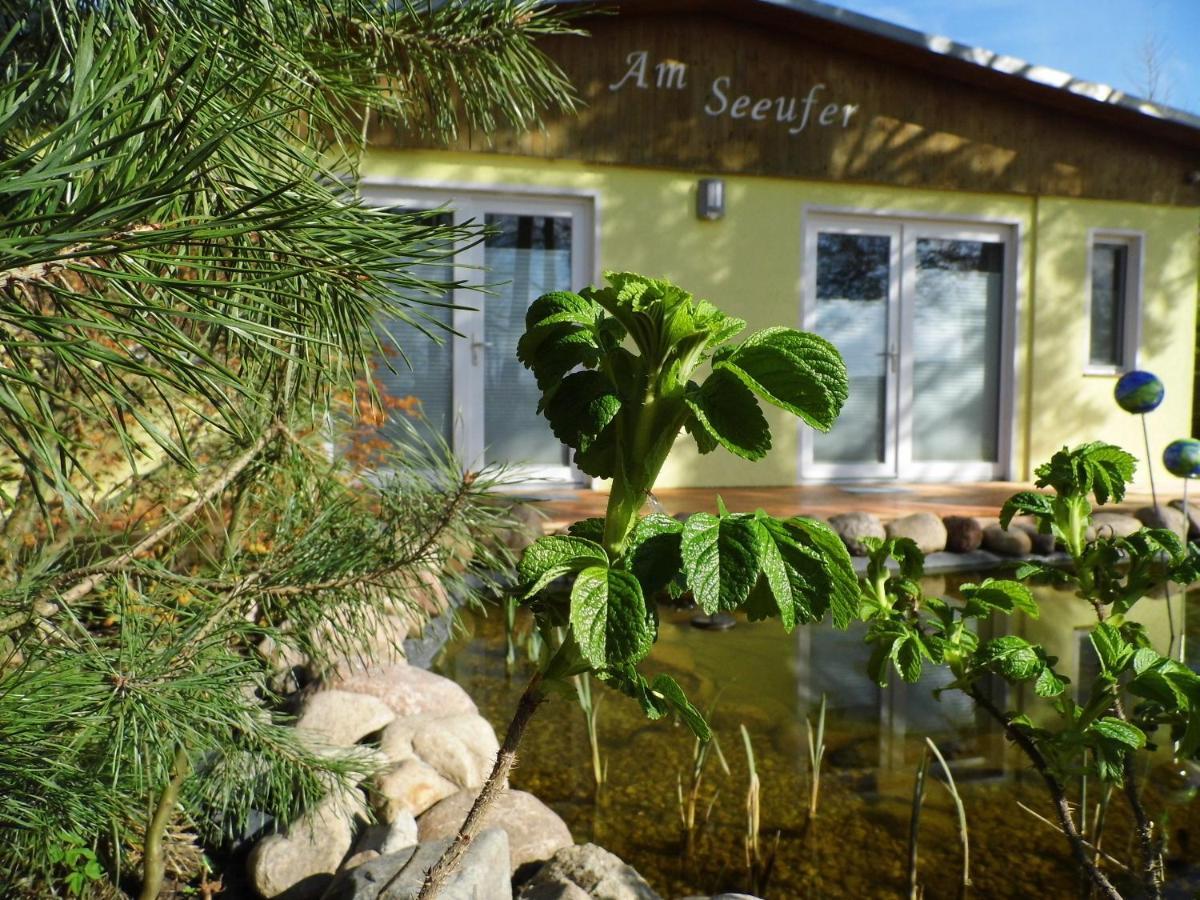 Ferienwohnung Seerose Neppermin Zewnętrze zdjęcie
